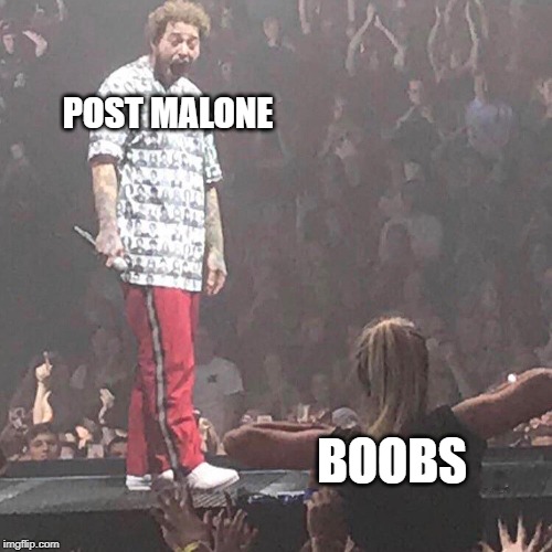 Post Malone happy | POST MALONE; BOOBS | image tagged in post malone happy | made w/ Imgflip meme maker