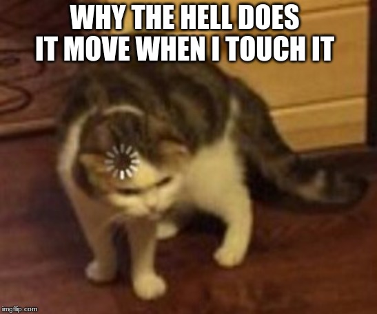 Loading cat | WHY THE HELL DOES IT MOVE WHEN I TOUCH IT | image tagged in loading cat | made w/ Imgflip meme maker