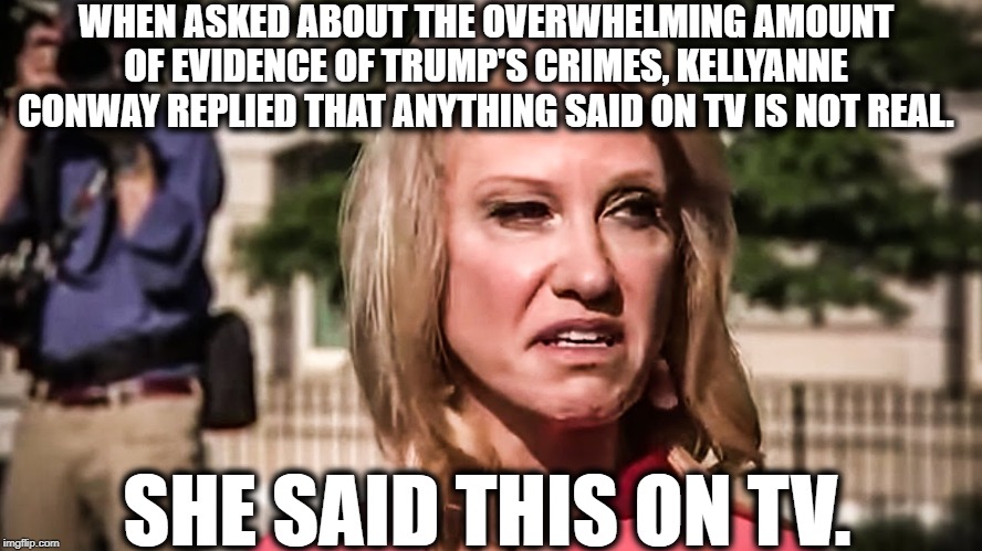 I Couldn't Make This Up | WHEN ASKED ABOUT THE OVERWHELMING AMOUNT OF EVIDENCE OF TRUMP'S CRIMES, KELLYANNE CONWAY REPLIED THAT ANYTHING SAID ON TV IS NOT REAL. SHE SAID THIS ON TV. | image tagged in kellyanne conway,idiot,donald trump,traitor,television,evidence | made w/ Imgflip meme maker