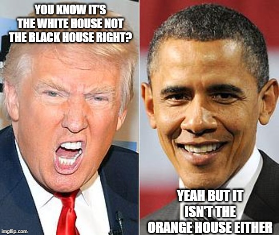 Houses of Color | YOU KNOW IT’S THE WHITE HOUSE NOT THE BLACK HOUSE RIGHT? YEAH BUT IT ISN’T THE ORANGE HOUSE EITHER | image tagged in trump obama | made w/ Imgflip meme maker