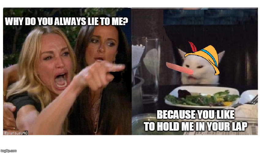 Pinocchio | WHY DO YOU ALWAYS LIE TO ME? BECAUSE YOU LIKE TO HOLD ME IN YOUR LAP | image tagged in pinocchio,smudge the cat,lady yelling at cat | made w/ Imgflip meme maker