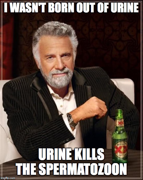 information unnecessary | I WASN'T BORN OUT OF URINE; URINE KILLS THE SPERMATOZOON | image tagged in memes,the most interesting man in the world,urine | made w/ Imgflip meme maker