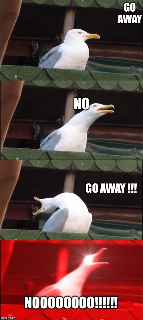 Inhaling Seagull Meme | GO AWAY; NO; GO AWAY !!! NOOOOOOOO!!!!!! | image tagged in memes,inhaling seagull | made w/ Imgflip meme maker