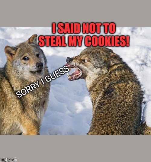 NO COOKIE STEALING | I SAID NOT TO STEAL MY COOKIES! SORRY I GUESS | image tagged in noooooooo,nooooooooo,noooooooooooooooooooooooo,cookies,cookie monster,wolf | made w/ Imgflip meme maker
