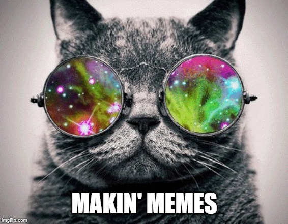 Cool Cat | MAKIN' MEMES | image tagged in cool cat | made w/ Imgflip meme maker