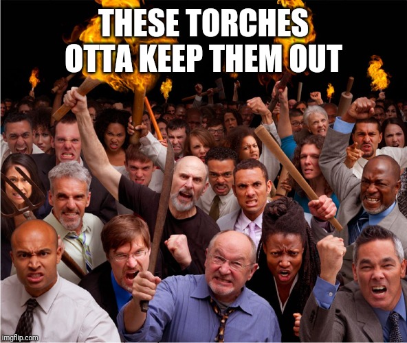 Pitch forks and torches | THESE TORCHES OTTA KEEP THEM OUT | image tagged in pitch forks and torches | made w/ Imgflip meme maker