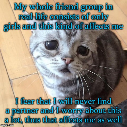 Lonely Cat | My whole friend group in real life consists of only girls and this kind of affects me; I fear that I will never find a partner and I worry about this a lot, thus that affects me as well | image tagged in lonely cat,relationships,friends,partners in crime | made w/ Imgflip meme maker