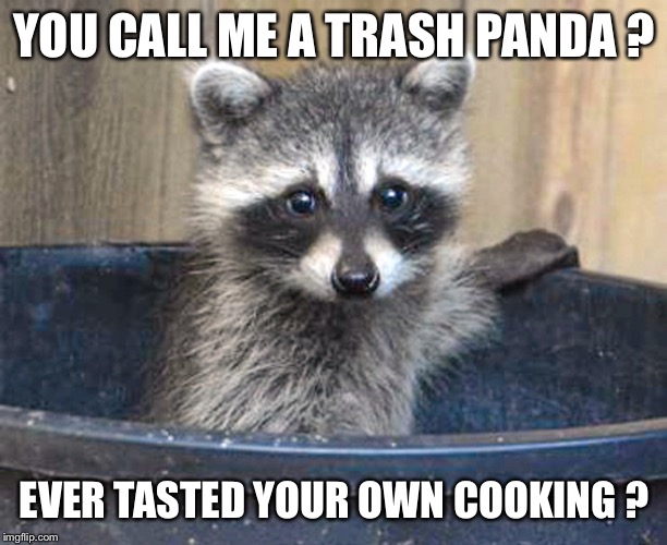 All you can eat | YOU CALL ME A TRASH PANDA ? EVER TASTED YOUR OWN COOKING ? | image tagged in funny memes | made w/ Imgflip meme maker