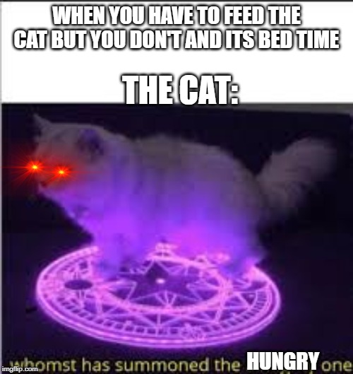 Whomst has Summoned the almighty one | WHEN YOU HAVE TO FEED THE CAT BUT YOU DON'T AND ITS BED TIME; THE CAT:; HUNGRY | image tagged in whomst has summoned the almighty one | made w/ Imgflip meme maker