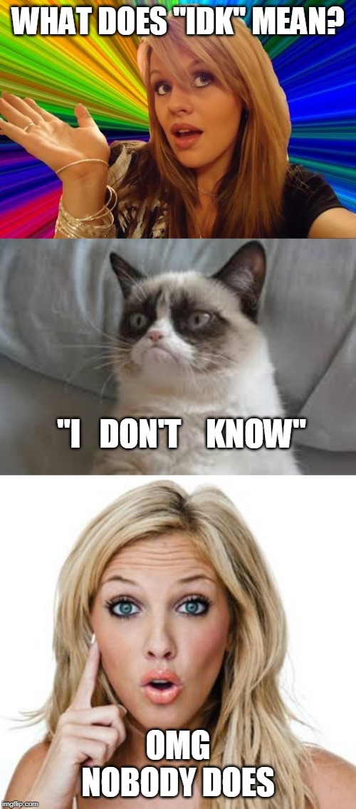  WHAT DOES "IDK" MEAN? "I   DON'T    KNOW"; OMG NOBODY DOES | image tagged in dumb blonde,grumpy cat,memes,idk | made w/ Imgflip meme maker