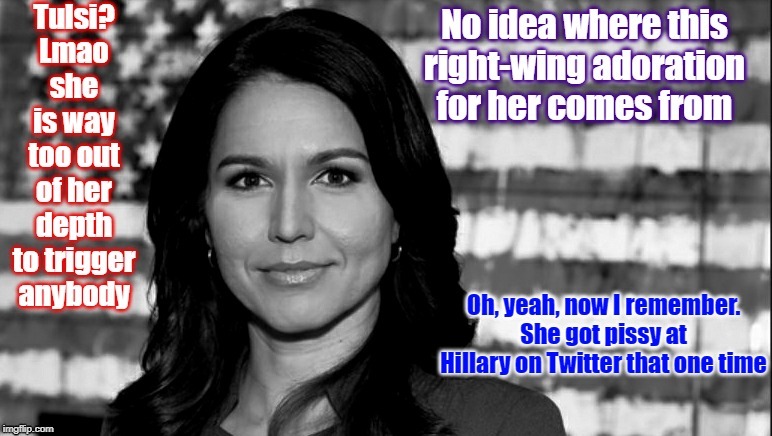 Where are all these Tulsi memes coming from? She's not even qualifying for debates | image tagged in democrats,democrat,triggered,election 2020,politics lol,right wing | made w/ Imgflip meme maker