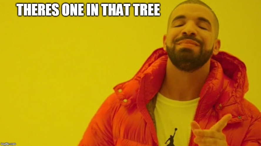 THERES ONE IN THAT TREE | made w/ Imgflip meme maker