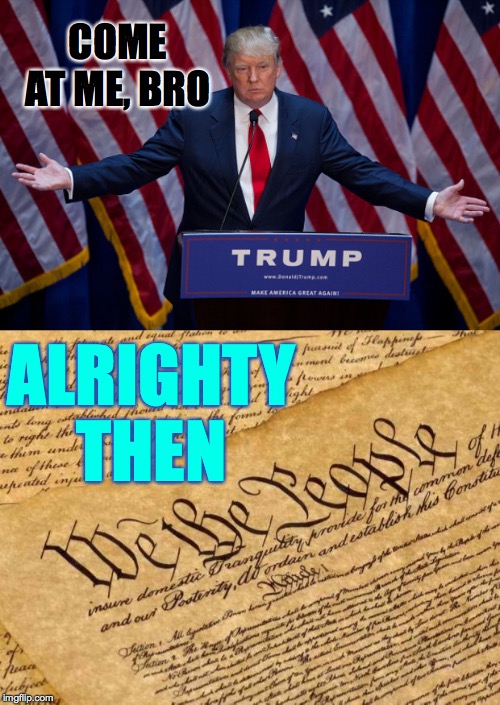 The real greatness has been there all along. | COME AT ME, BRO; ALRIGHTY THEN | image tagged in constitution,donald trump,memes,good vs evil,alrighty then | made w/ Imgflip meme maker