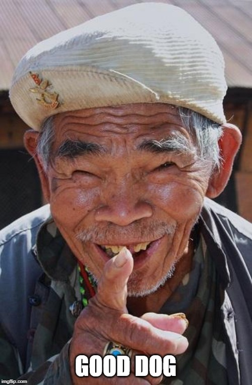 Funny old Chinese man 1 | GOOD DOG | image tagged in funny old chinese man 1 | made w/ Imgflip meme maker