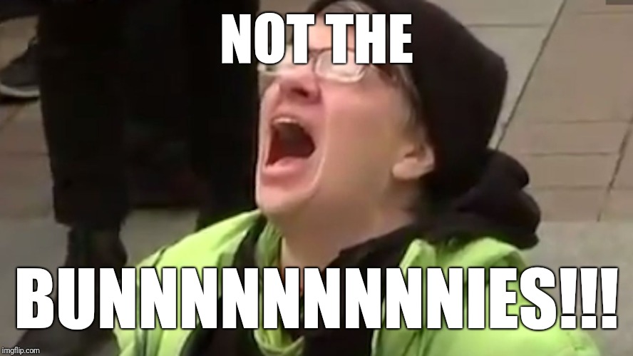 Screaming Liberal  | NOT THE BUNNNNNNNNNIES!!! | image tagged in screaming liberal | made w/ Imgflip meme maker