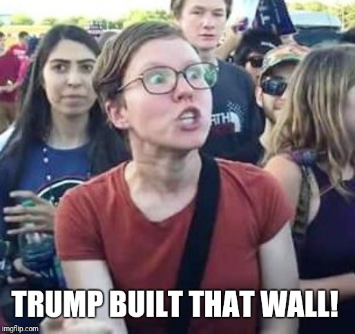 impeach drumpf angry liberal | TRUMP BUILT THAT WALL! | image tagged in impeach drumpf angry liberal | made w/ Imgflip meme maker