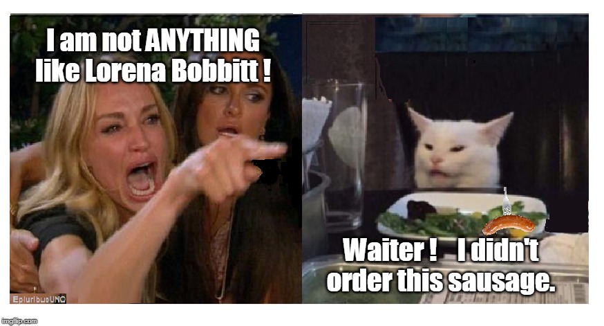 Sausage Salad | I am not ANYTHING like Lorena Bobbitt ! Waiter !    I didn't order this sausage. | image tagged in smudge the cat,lady yelling at cat | made w/ Imgflip meme maker