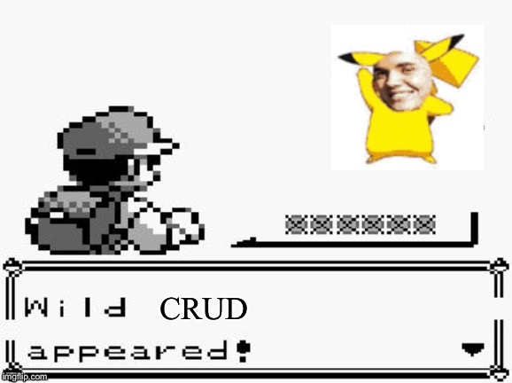 pokemon appears | CRUD | image tagged in pokemon appears | made w/ Imgflip meme maker
