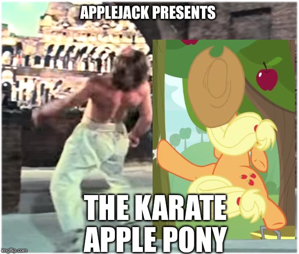 Applejack the karate apple pony | APPLEJACK PRESENTS; THE KARATE APPLE PONY | image tagged in bruce leeith kicks chucks face,applejack,mlp fim,memes,karate | made w/ Imgflip meme maker