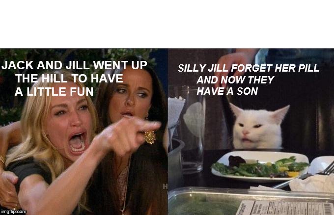 Woman Yelling At Cat | JACK AND JILL WENT UP 
    THE HILL TO HAVE
    A LITTLE FUN; SILLY JILL FORGET HER PILL
       AND NOW THEY
       HAVE A SON | image tagged in memes,woman yelling at cat | made w/ Imgflip meme maker
