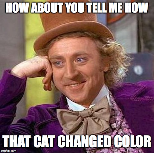 Creepy Condescending Wonka Meme | HOW ABOUT YOU TELL ME HOW THAT CAT CHANGED COLOR | image tagged in memes,creepy condescending wonka | made w/ Imgflip meme maker