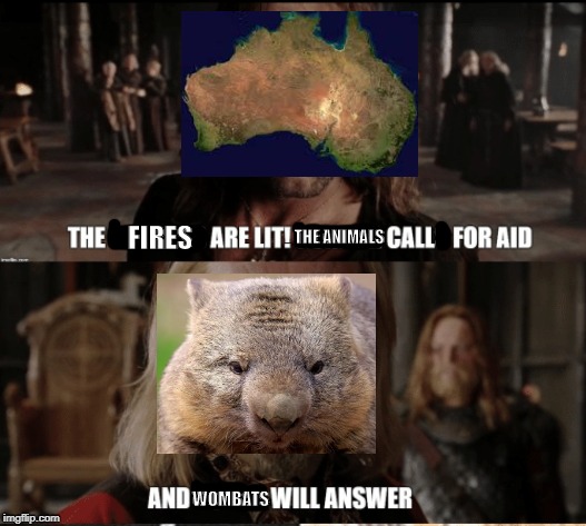 wombats | FIRES; THE ANIMALS; WOMBATS | image tagged in wombats will answer | made w/ Imgflip meme maker