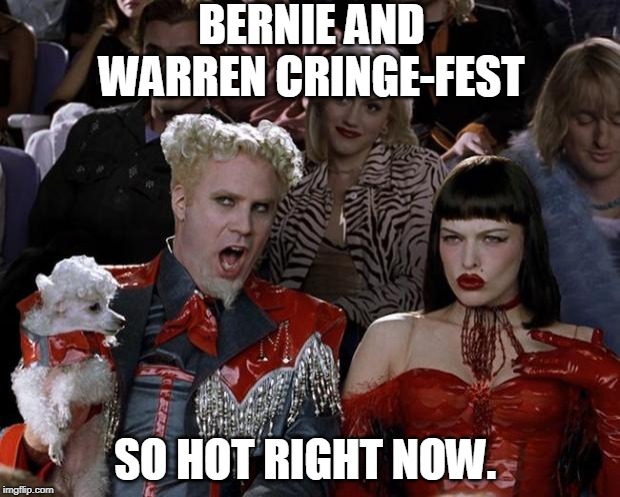 Warren Not So Hot | BERNIE AND WARREN CRINGE-FEST; SO HOT RIGHT NOW. | image tagged in elizabeth warren,cnn,bernie sanders,democrats,primaries,msm | made w/ Imgflip meme maker