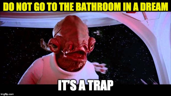 It's a trap  | DO NOT GO TO THE BATHROOM IN A DREAM; IT'S A TRAP | image tagged in it's a trap | made w/ Imgflip meme maker