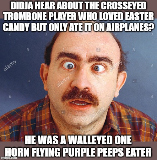 good grief! | DIDJA HEAR ABOUT THE CROSSEYED TROMBONE PLAYER WHO LOVED EASTER CANDY BUT ONLY ATE IT ON AIRPLANES? HE WAS A WALLEYED ONE HORN FLYING PURPLE PEEPS EATER | image tagged in trombone,purple peeps,bad puns | made w/ Imgflip meme maker
