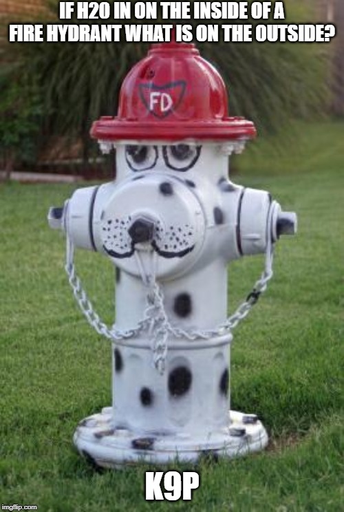 fire hydrant | IF H20 IN ON THE INSIDE OF A FIRE HYDRANT WHAT IS ON THE OUTSIDE? K9P | image tagged in fire hydrant,bad puns | made w/ Imgflip meme maker