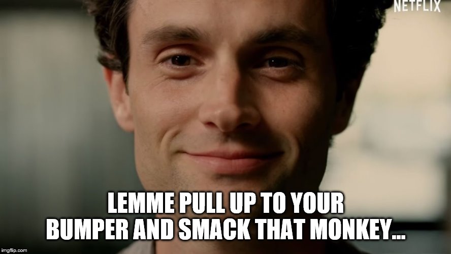 LEMME PULL UP TO YOUR BUMPER AND SMACK THAT MONKEY... | image tagged in joe,joe golberg,you,you season two | made w/ Imgflip meme maker