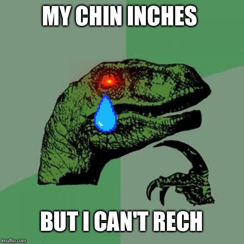 Philosoraptor Meme | MY CHIN INCHES; BUT I CAN'T RECH | image tagged in memes,philosoraptor | made w/ Imgflip meme maker