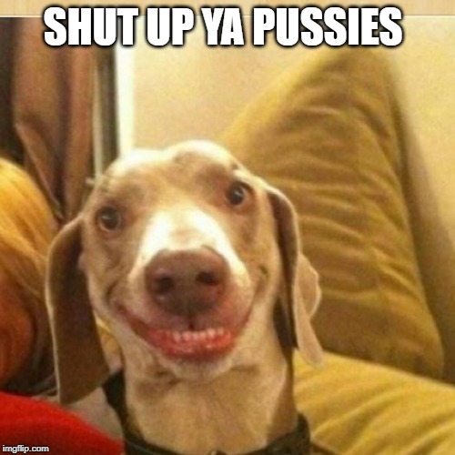 big smile doggie | SHUT UP YA PUSSIES | image tagged in big smile doggie | made w/ Imgflip meme maker