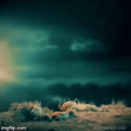 3mddn2.gif