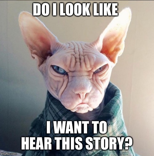 Old man cat | DO I LOOK LIKE; I WANT TO HEAR THIS STORY? | image tagged in old man cat | made w/ Imgflip meme maker