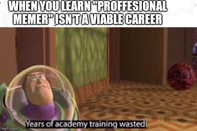Years Of Academy Training Wasted | WHEN YOU LEARN "PROFFESIONAL MEMER" ISN'T A VIABLE CAREER | image tagged in years of academy training wasted | made w/ Imgflip meme maker