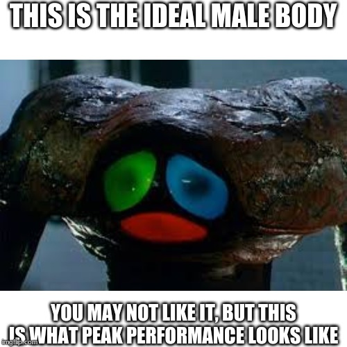 THIS IS THE IDEAL MALE BODY; YOU MAY NOT LIKE IT, BUT THIS IS WHAT PEAK PERFORMANCE LOOKS LIKE | image tagged in memes | made w/ Imgflip meme maker