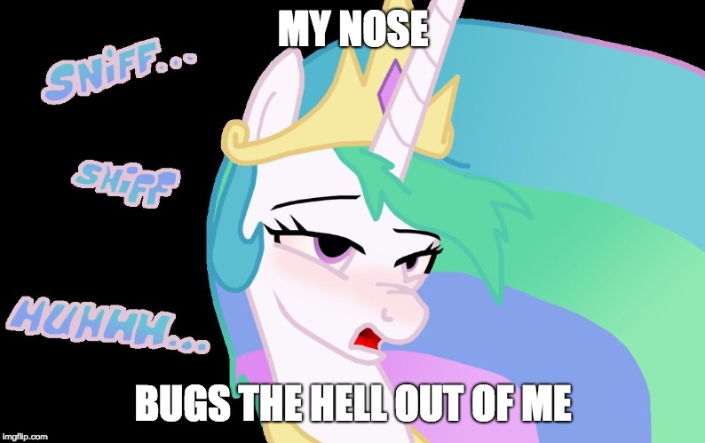 Darn congestion! | MY NOSE; BUGS THE HELL OUT OF ME | image tagged in royal sick pony,memes,sick,congestion,nose,cold | made w/ Imgflip meme maker