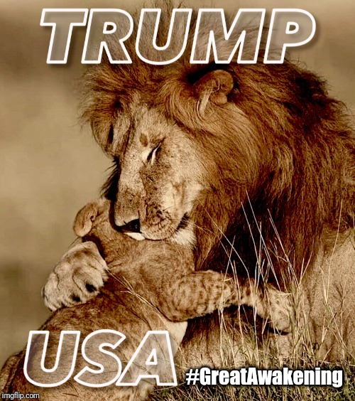 Don't Mess with the USA! #GreatAwakening | #GreatAwakening | image tagged in donald j trump,lion king,i love you,usa,make america great again,the great awakening | made w/ Imgflip meme maker