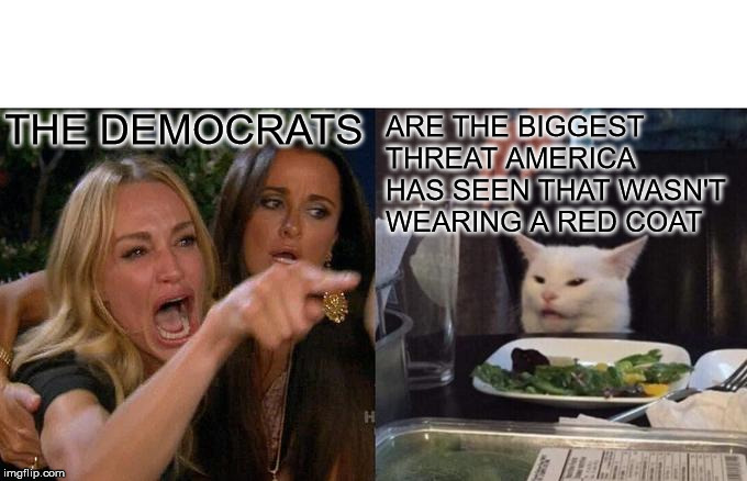 Woman Yelling At Cat | ARE THE BIGGEST THREAT AMERICA HAS SEEN THAT WASN'T WEARING A RED COAT; THE DEMOCRATS | image tagged in memes,woman yelling at cat | made w/ Imgflip meme maker