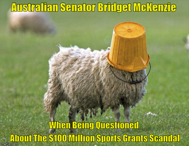 A Bucket Is The Best Defence | Australian Senator Bridget McKenzie; When Being Questioned; About The $100 Million Sports Grants Scandal | image tagged in bridget mckenzie,sports rorts scandal | made w/ Imgflip meme maker