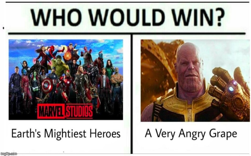 Who would win? | image tagged in avengers,thanos,avengers endgame,avengers infinity war,guardians of the galaxy,marvel | made w/ Imgflip meme maker