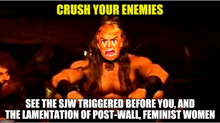 "Donald, what is best in life?" | CRUSH YOUR ENEMIES; SEE THE SJW TRIGGERED BEFORE YOU, AND THE LAMENTATION OF POST-WALL, FEMINIST WOMEN | image tagged in donald the barbarian,memes,donald trump,conan the barbarian,conan crush your enemies,election 2020 | made w/ Imgflip meme maker