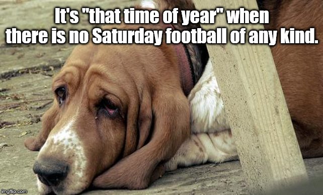 <sigh> | It's "that time of year" when there is no Saturday football of any kind. | image tagged in depressive dog | made w/ Imgflip meme maker