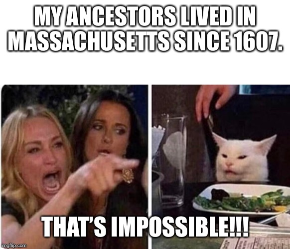 Lady screams at cat | MY ANCESTORS LIVED IN MASSACHUSETTS SINCE 1607. THAT’S IMPOSSIBLE!!! | image tagged in lady screams at cat | made w/ Imgflip meme maker