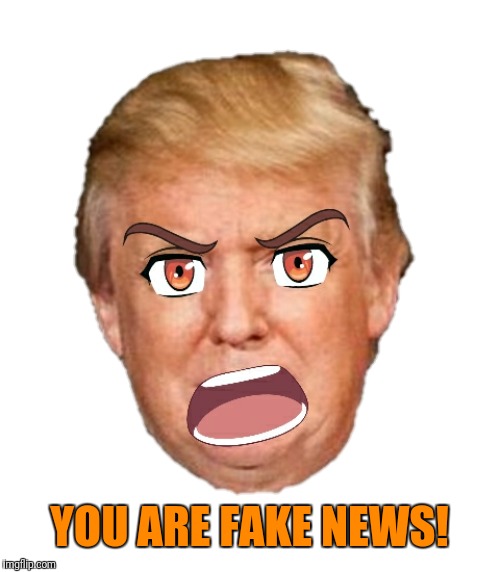 Donald has a message for cnn | YOU ARE FAKE NEWS! | image tagged in anime trump,memes,cnn fake news | made w/ Imgflip meme maker