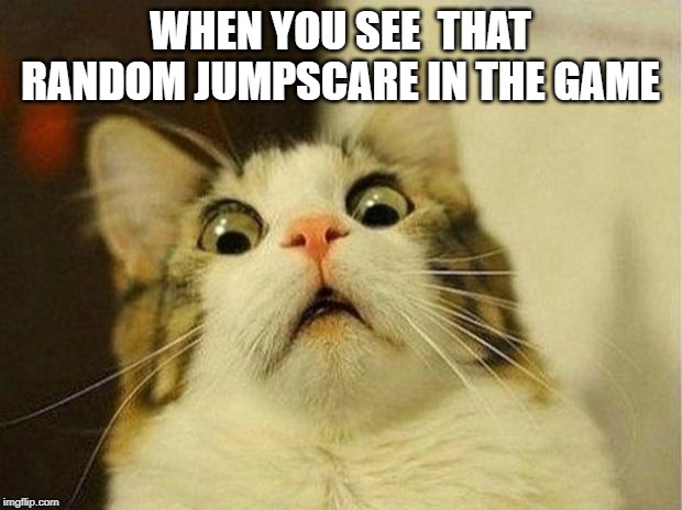 Scared Cat Meme | WHEN YOU SEE  THAT RANDOM JUMPSCARE IN THE GAME | image tagged in memes,scared cat | made w/ Imgflip meme maker