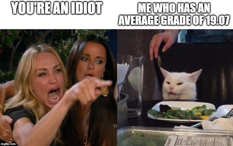 Woman yelling at cat | YOU'RE AN IDIOT; ME WHO HAS AN AVERAGE GRADE OF 19.07 | image tagged in woman yelling at cat | made w/ Imgflip meme maker