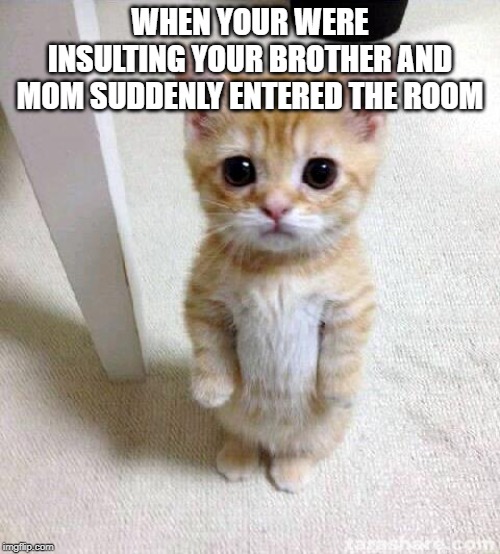 Cute Cat | WHEN YOUR WERE INSULTING YOUR BROTHER AND MOM SUDDENLY ENTERED THE ROOM | image tagged in memes,cute cat | made w/ Imgflip meme maker