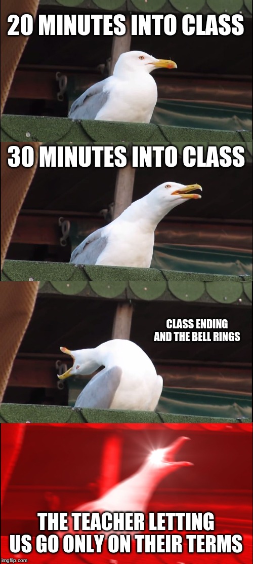 Inhaling Seagull | 20 MINUTES INTO CLASS; 30 MINUTES INTO CLASS; CLASS ENDING AND THE BELL RINGS; THE TEACHER LETTING US GO ONLY ON THEIR TERMS | image tagged in memes,inhaling seagull | made w/ Imgflip meme maker